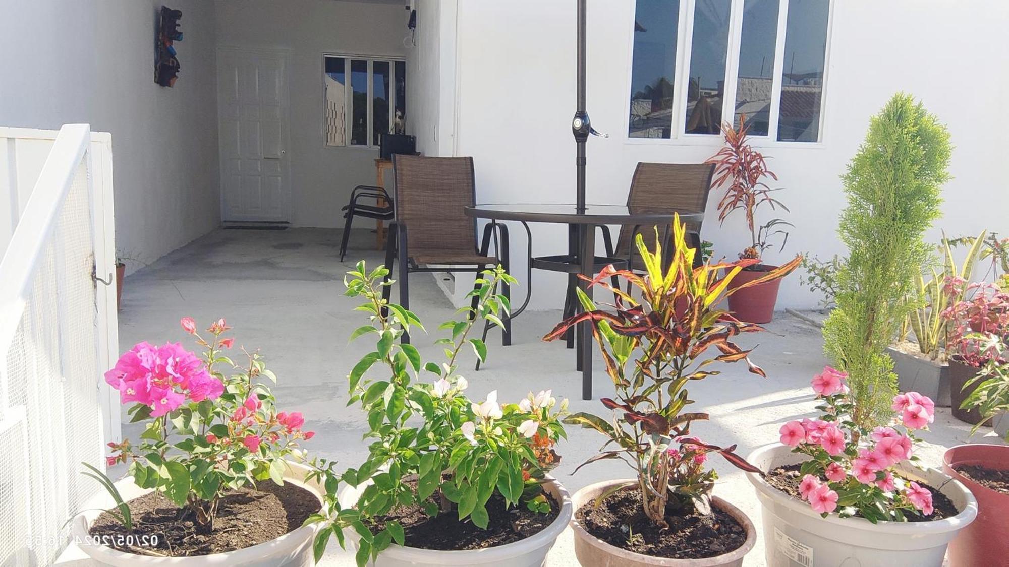 Tierra Maya Hotel Playa del Carmen Luaran gambar